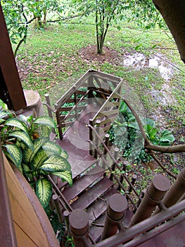 View from a tree house