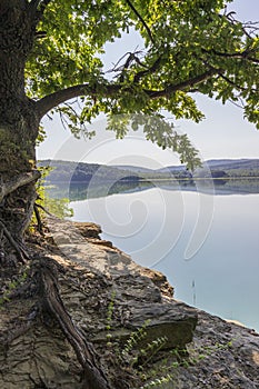 View with a tree to the Ticha dam