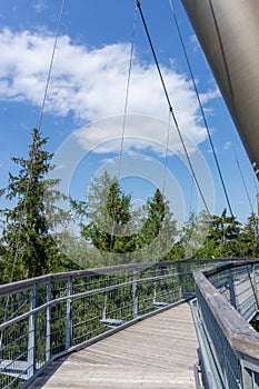 View of the tree top path and trail in the hills of southern Bavaria in Scheidegg