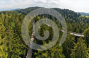 View of the tree top path and trail in the hills of southern Bavaria in Scheidegg