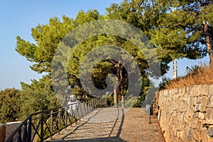 view of the tree on the tourist route equipped with a bench and an trash bin