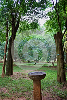 Bird bath bowl between the trees in a park