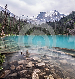 View of trees and blue clear water with snowy mountains in background in Joffre lake provincial park