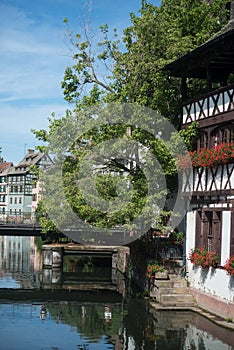 trees in border the Il river at the little france quarter and medieval house in Strasbourg