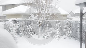 View of the trees, bushes, gazibo on backyard in heavy snowfall with blizzard