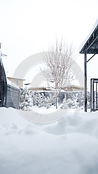 View of the trees, bushes, gazibo on backyard in heavy snowfall with blizzard