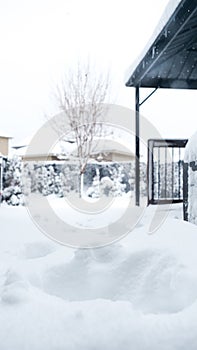 View of the trees, bushes, gazibo on backyard in heavy snowfall with blizzard