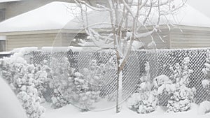 View of the trees, bushes, gazibo on backyard in heavy snowfall with blizzard and wind gusts against the background.