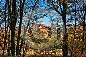 View through trees on the castle Czocha