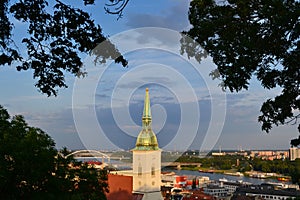 View of the trees at the church tower of the cathedral in Bratislava