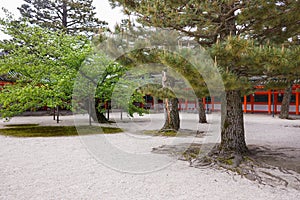 View of trees in courtyard of Heian Shrine garden