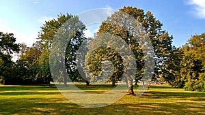 View at trees and fields on Toronto Islands park