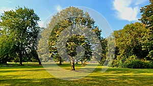 View at trees and fields on Toronto Islands park