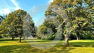 View at trees and fields on Toronto Islands park