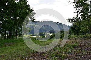 LesnÃÂ¡ krajina