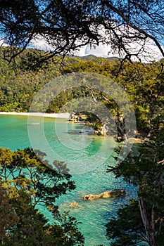 A view through the trees of an inlet and beach at the incredibly beautiful Able Tasman National Park, South Island, New Zealand