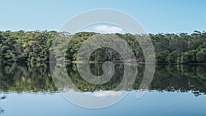 view of trees reflection on the lake