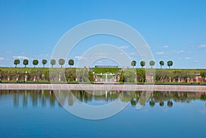 View of trees with reflection in peterhof