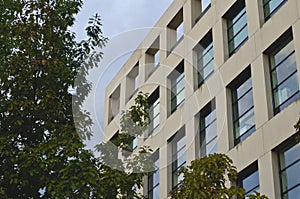 The trees in front of the square building