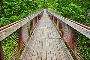 View from treetop view on boardwalk bridge leading back to solid ground and lush green forest