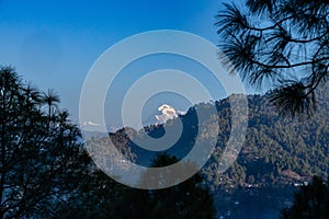 View of the Trisul mountain peak on the Himalayan range framed with pine trees