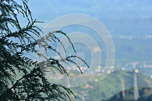 A view from Triund, Dhauladhar Range Kangra