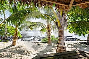View from a tropical bar onto sandy and rocky beach with palm tr