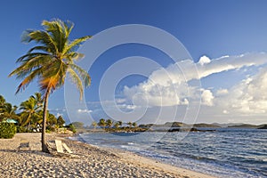 View of a tropical beach in the Caribbean
