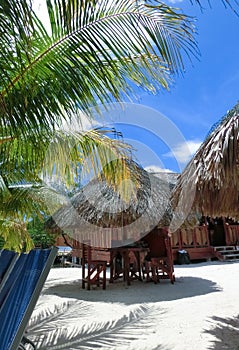 View of a tropical beach in Roatan Honduras