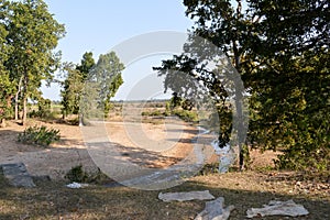 View of of tropical forest, Sal trees and grassland spread over the forest divisions of Umaria and Katni in Bandhavgarh National