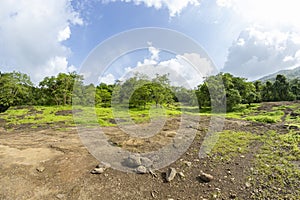 View of the tropical forest in the Sanjay Gandhi National Park Mumbai Maharashtra India. Near kanheri caves in mumbai India .