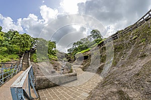 View of the tropical forest in the Sanjay Gandhi National Park Mumbai Maharashtra India. Near kanheri caves in mumbai India .