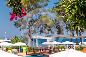 View of the tropical garden and the sea on a sunny day from the hotel veranda