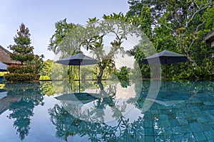 View of a tropical garden and swimming pool in Ubud, Bali, Indonesia , close up