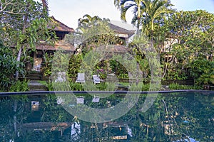 View of a tropical garden and swimming pool in Ubud, Bali, Indonesia , close up