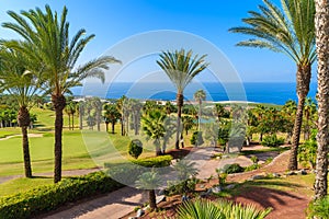 A view of tropical landscape with palm trees on Tenerife, Canary Islands, Spain