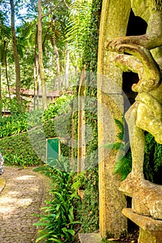 view of tropical Madeira Monte Palace garden in Funchal in its japanese part during a sunny day with its natural beauty