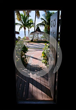 View in the tropical paradise from the door