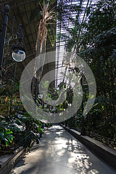 View of tropical vegetation in the urban greenhouse of the Atocha train station