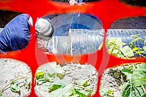 View trough construction plastic orange safety mesh on welders u