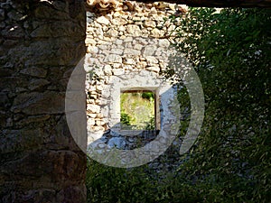 View trough the window