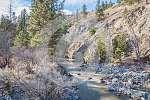 View of Trout Creek flowing through ravine and forest in springtime