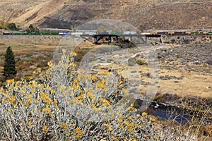 View of the Truckee River