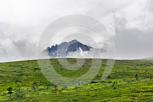 View of the tundra and mountain of the subpolar urals photo