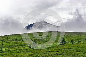 View of the tundra and mountain of the subpolar urals photo