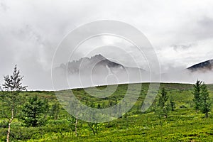 View of the tundra and mountain of the subpolar urals photo