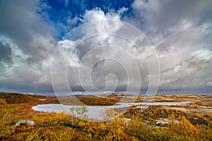 View of the tundra space with vegetation in the autumn. The far north in Russia