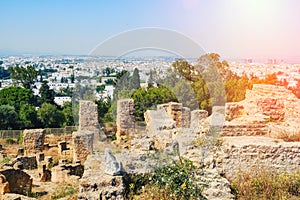 View of Tunisia and the Bay from the excavations of Carthage