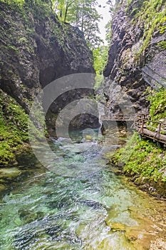 A view of the turbulent Radovna River in the narrow section of the Vintgar Gorge in Slovenia