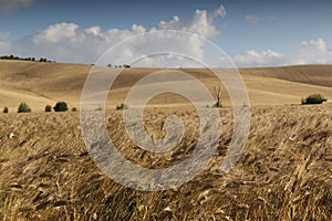 View of the Tuscan countryside